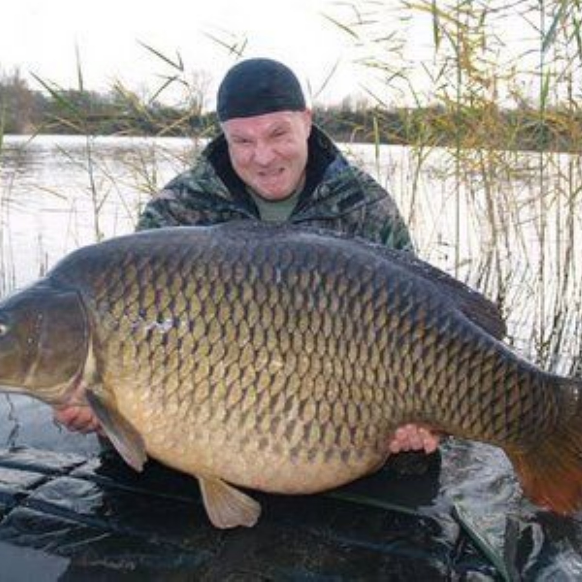 Купить Живого Карпа Воронеж