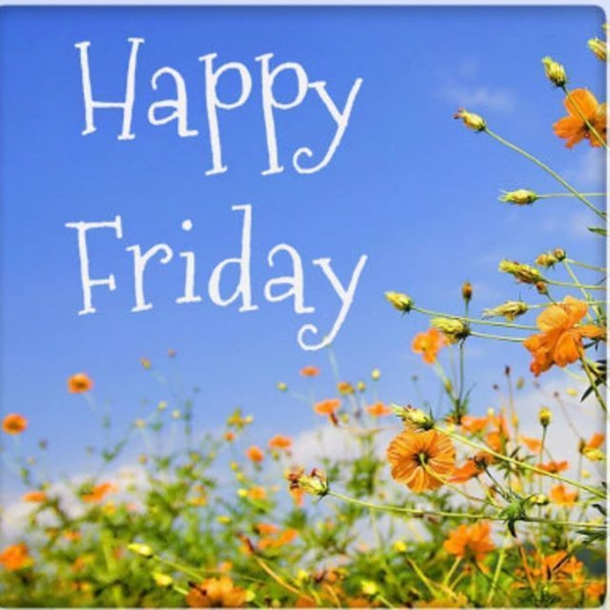 Have a nice day картинки лето