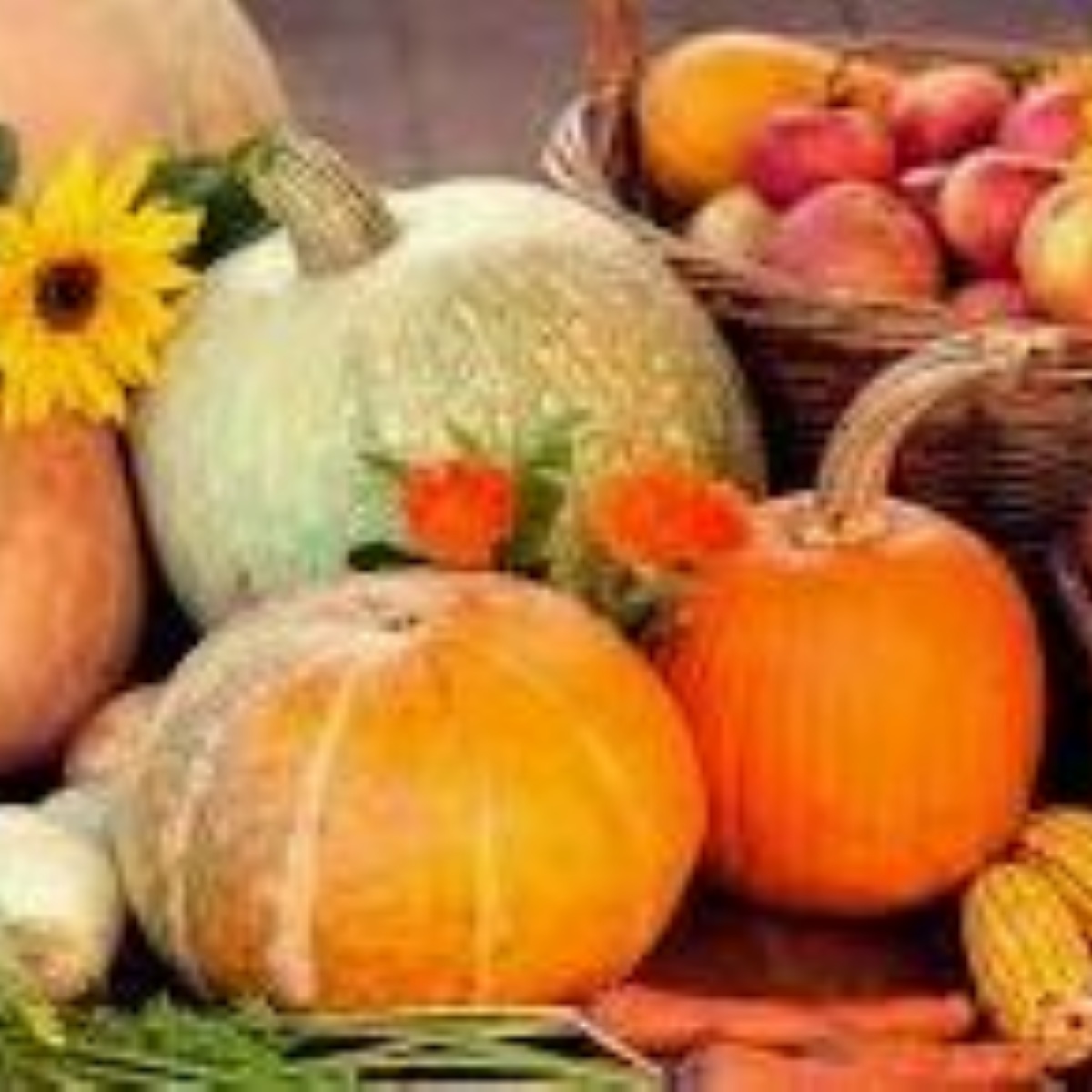 Brockenhurst C Of E Primary School Harvest Food Bank Donation Request