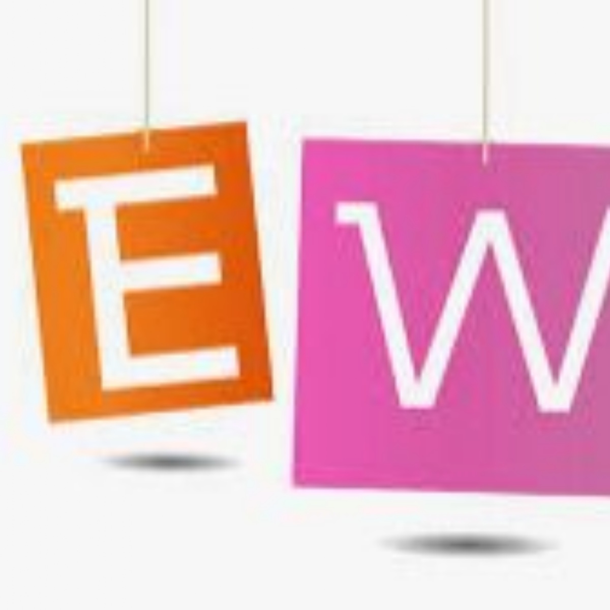 brockenhurst-c-of-e-primary-school-newsletter-5