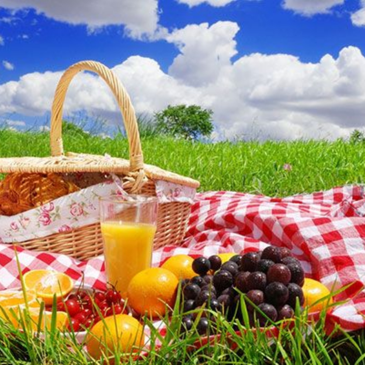 Пикник воды и хлеба. Международный день пикника (International Picnic Day). Еда на природе. Выходные на природе. Летний пикник на природе.